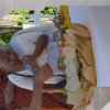 955. 02 dsc_0061